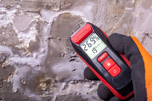 Best Mold Removal and Inspection  in Odon, IN