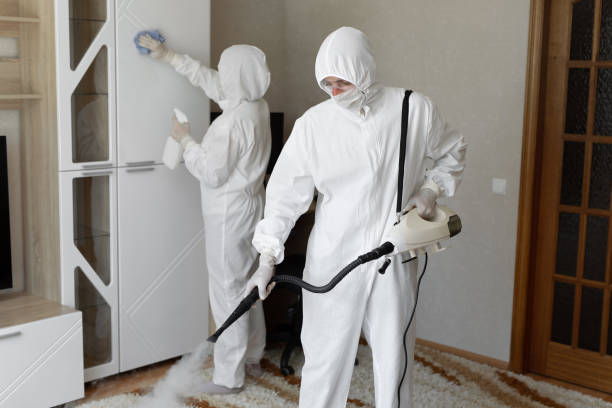 Best Toxic Mold Removal  in Odon, IN