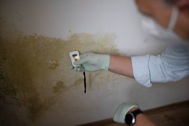 Water Damage Restoration in Odon, IN